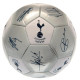 Tottenham Hotspur FC Sig Silver Football