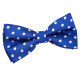 Polka Dot Classic Pre-Tied Bow Tie