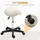 Saddle Stool, PU Leather Adjustable Rolling Salon Chair with Steel Frame for Massage, Spa, Beauty and Tattoo, White