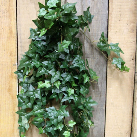 45"" Mini Ivy Hanging Bush