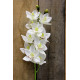 White Phalaenopsis Spray 45 inch