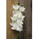 White Phalaenopsis Spray 45 inch