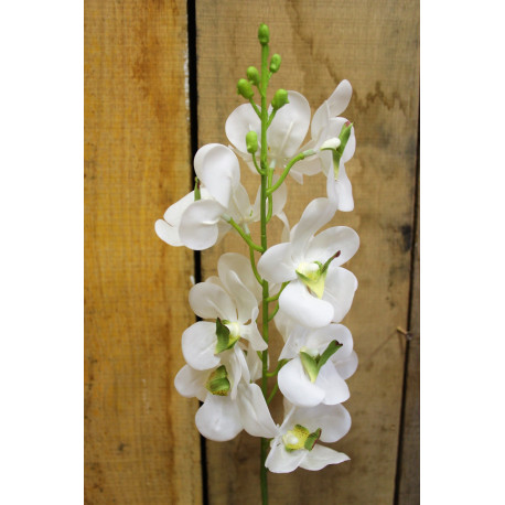 White Ascocenda Spray 28.5 inch