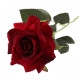 Red Richmond Rose 42cm