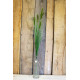 PVC Grass Spray With Cat-Tails 91cm