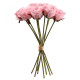 Rose Bundle Pink