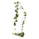 Vine Garland 2m