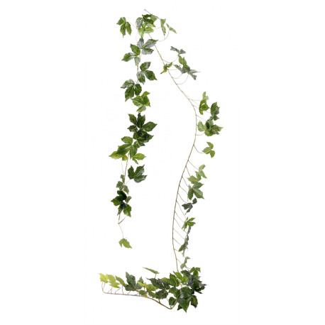 Vine Garland 2m