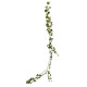 Sandringham Ivy Garland Green 180cm x98 Leaves