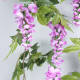 Wisteria Garland Lilac (1.9M)