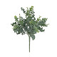 Botanica Eucalyptus Bush (35cm)