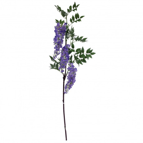 Violet Wisteria Branch