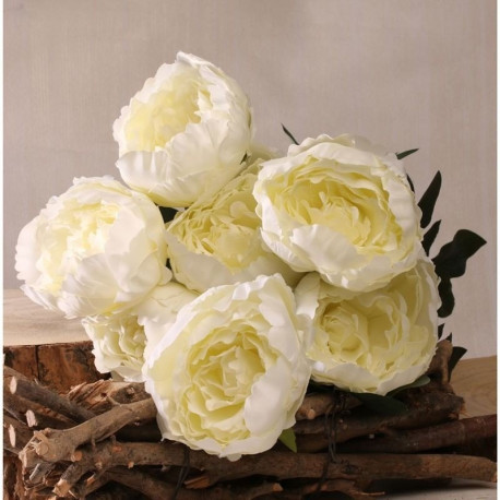 Seven King Peony Bunch Cream