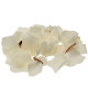 Cream Rose Petal Confetti