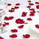 Red Rose Petal Confetti