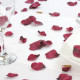 Burgundy Rose Petal Confetti