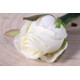 Small Rose Bud Cream