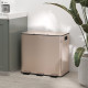 45L Triple Compartment Stainless Steel Bin, with Deodoriser Holders - Gold Tone