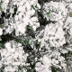 5FT Prelit Artificial Snow Flocked Christmas Tree with Warm White LED Light, Holiday Home Xmas Decoration, Green White