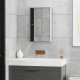 Stainless Steel Wall mounted Bathroom Mirror Cabinet 2 Shelves Storage Unit Furniture w/Single Door (60H x 40L x 13D (cm))