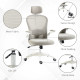 Vinsetto Multi-Adjustable Office Chair, with Lumbar Support, Headrest and Mesh Back - Grey