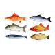 18 cm Pet Cat Soft Toy Stuffed Fish Assorted Fish Designs - Random Sent.