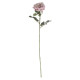 74cm Single Aidde Rose Antique Pink