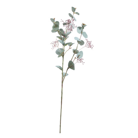 Seeded Eucalyptus (67cm)