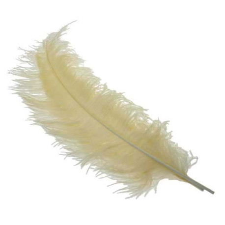 Cream Ostrich Feathers x5