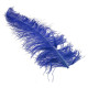 Royal Blue Ostrich Feathers x5