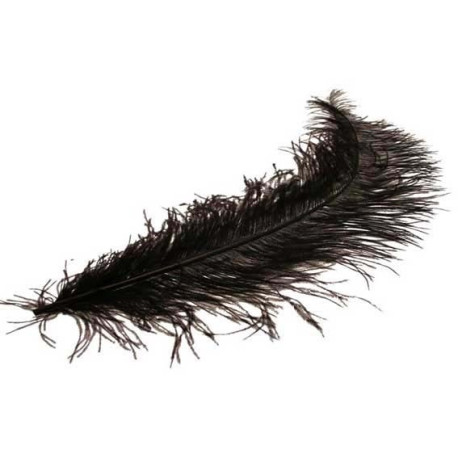 Black Ostrich Feathers x 5