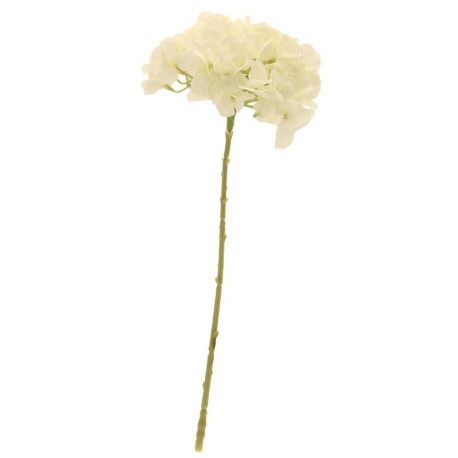 Short Stem Single Hydrangea Cream