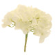 Short Stem Single Hydrangea Cream