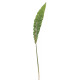 Asplenium Leaf 90cm