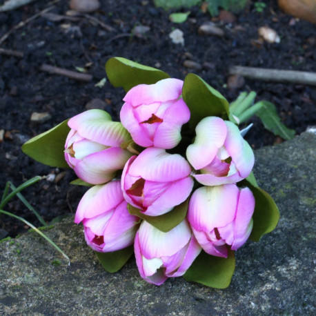 Tulip Bunch Fuschia