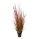 Potted Bronze Stipa Grass (100cm)