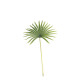 Real Touch Palm Leaf Green (50cm)