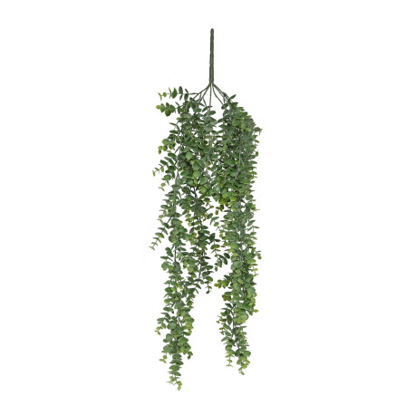 Botanica Eucalyptus Hanging Bush (80cm)