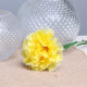 Yellow Single Carnation (12 Stems)