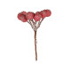 Frosted Berry Bunch (Red, H10cm)