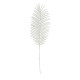 White Glitter Palm Leaf (H70cm)