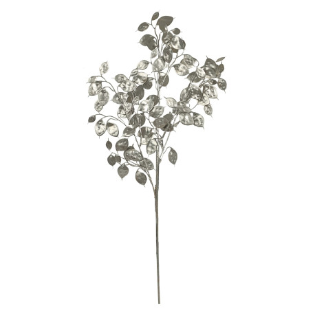 Silver Eucalyptus Foliage Stem