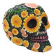 Fantasy Day of the Dead Daisy Skull