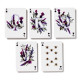 Standard Deck of Playing Cards - Nectar Meadows