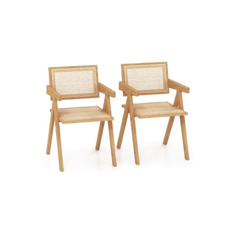 Rattan Accent Chairs Set of 2 with Natural Bamboo Frame