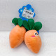 Squeaky Dog Soft Toy Carrot 13 cm - Random Colour