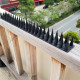 12 pcs Palstic Anti Bird Spike Scarer Anti-Cat Dog Pest Deterrent Pigeon Repellent with 3.cm Long Spikes - Black