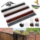 12 pcs Palstic Anti Bird Spike Scarer Anti-Cat Dog Pest Deterrent Pigeon Repellent with 3.cm Long Spikes - Clear