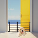 Retractable Pet Small Dog Safety Gate Baby Barrier Door Stair Fence Guard for Indoor - White