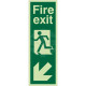 Portrait Fire Exit Arrow Down Left Sign